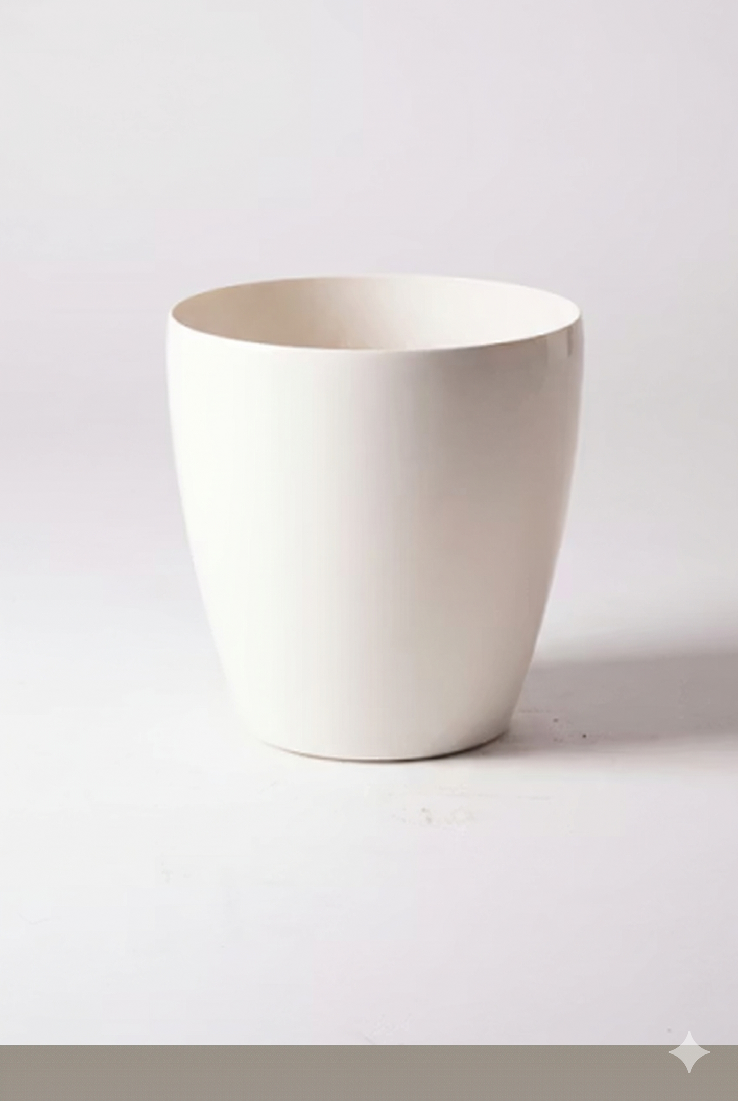 オーガスタ6号 ラスターポット 付き