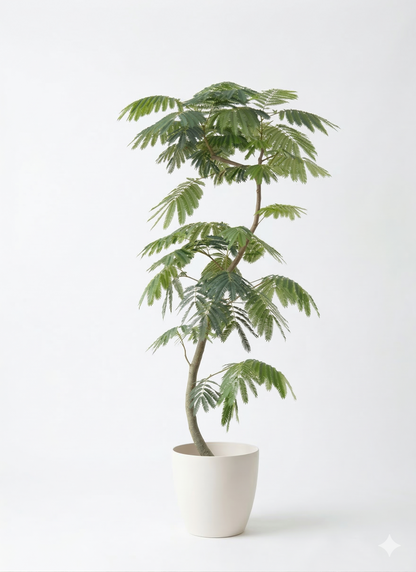 エバーフレッシュ10号 曲り ラスターポット 付き