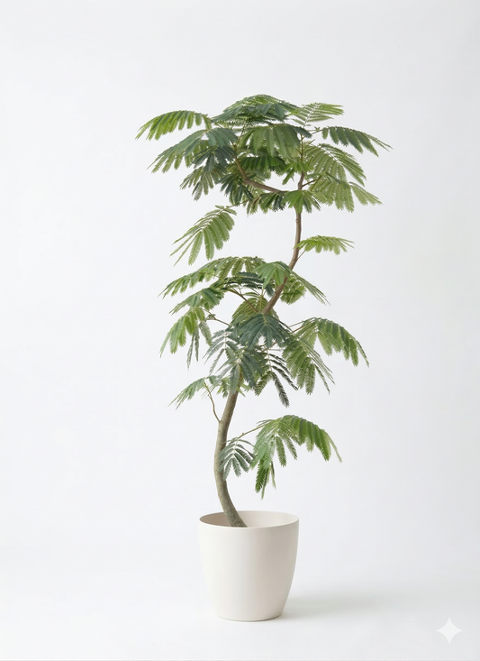 エバーフレッシュ10号 曲り ラスターポット 付き