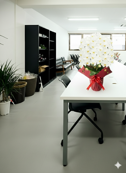 胡蝶蘭　白3本立ち（開花輪白30以上）オープン記念送料・立札無料