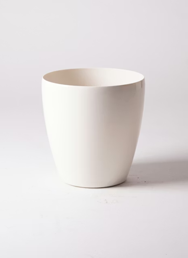 エバーフレッシュ10号 曲り ラスターポット 付き