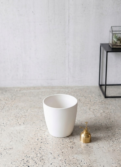 観葉植物 パキラ 8号 ねじり ラスターポット 付き